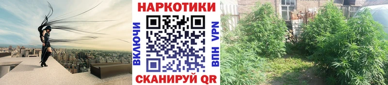 Где купить Владивосток Альфа ПВП  Кетамин  Меф мяу мяу  Канабис  Cocaine 