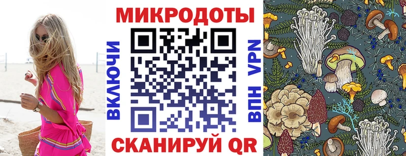 Псилоцибиновые грибы Psilocybine cubensis  МЕГА как зайти  Владивосток 
